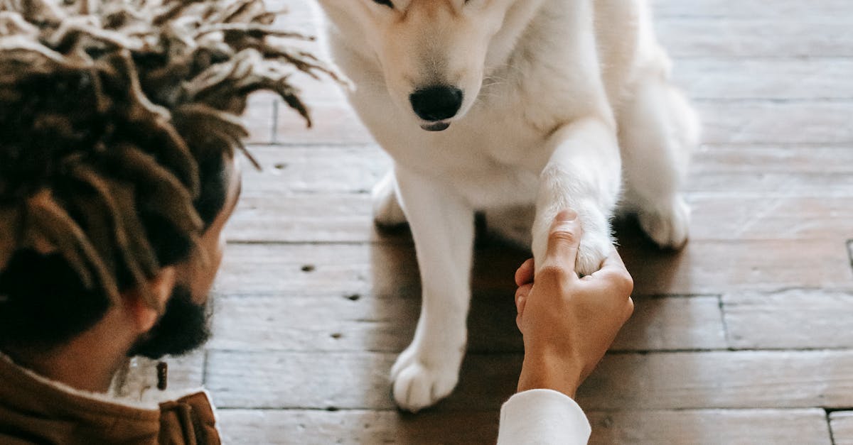 Aligning Risk Mitigation with Organisational Objectives