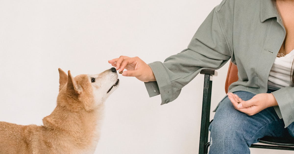 Integrating Stakeholder Input in APM PFQ Crisis Response Strategies